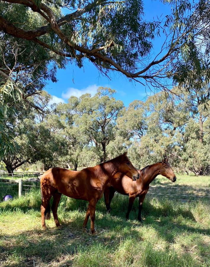 Seatrees Accommodation Yanchep Esterno foto