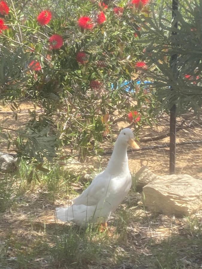 Seatrees Accommodation Yanchep Esterno foto
