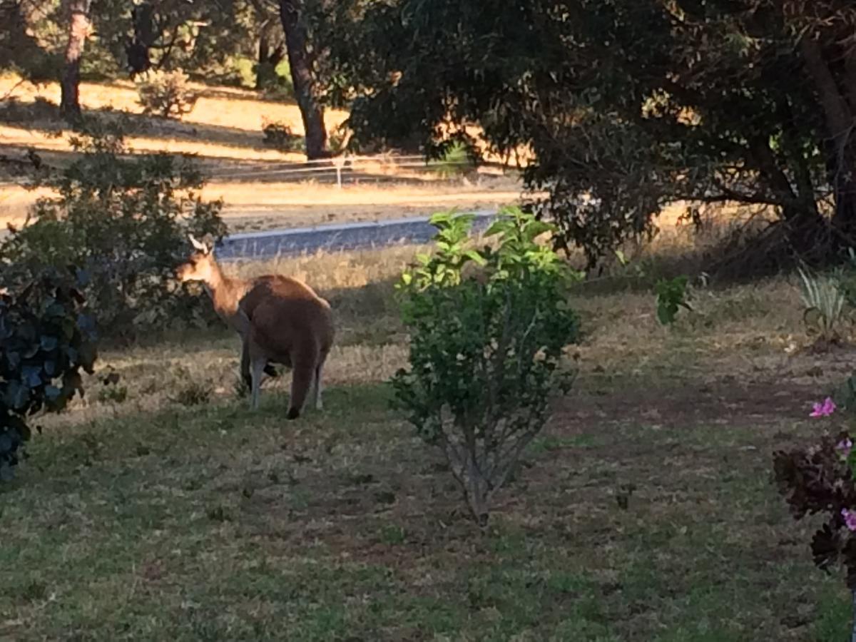 Seatrees Accommodation Yanchep Esterno foto