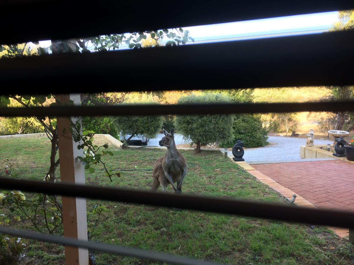 Seatrees Accommodation Yanchep Esterno foto